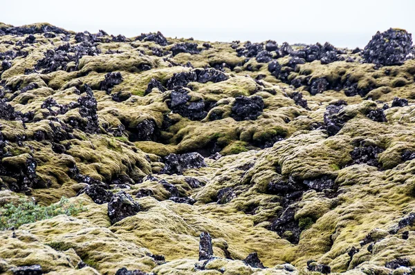 Rocas de lava con musgo — Foto de Stock