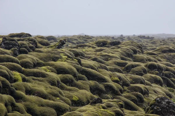 Rocas de lava con musgo — Foto de Stock