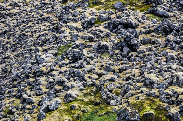 Pedras de lava com musgo — Fotografia de Stock