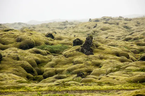 Rocas de lava con musgo — Foto de Stock