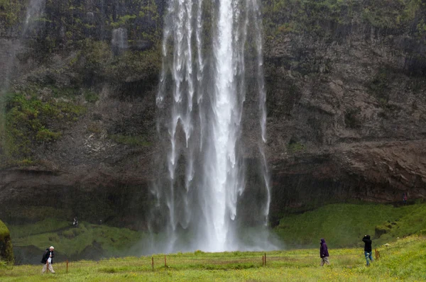 Cascate maestose con rocce ed erba intorno Foto Stock