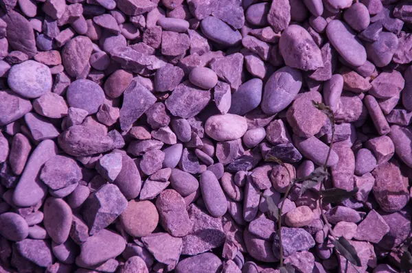 Purple rocks — Stock Photo, Image