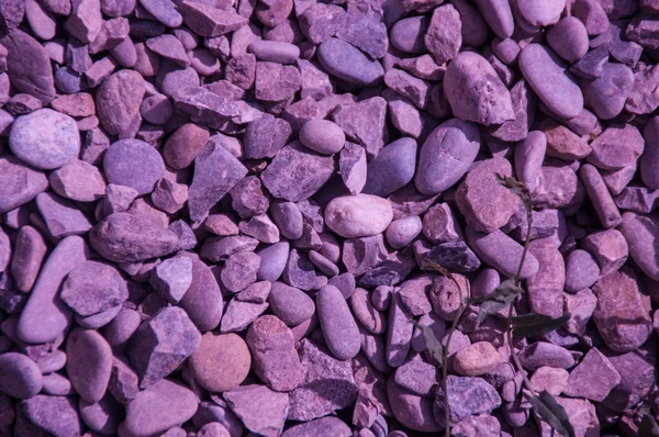 Purple rocks — Stock Photo, Image