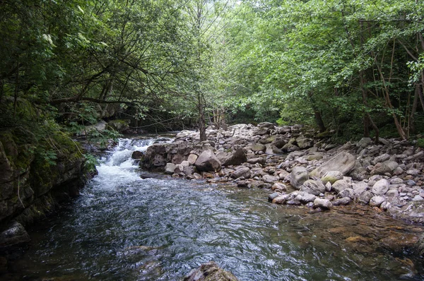 Fluss mit Felsen — Stockfoto