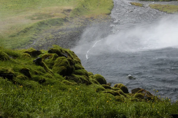 Rock with moss in lake — Stock Photo, Image