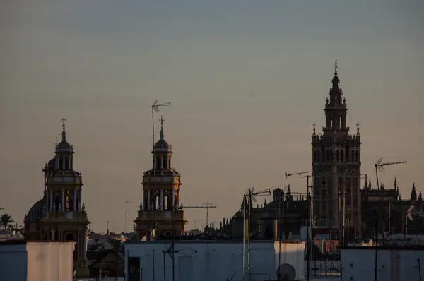 Daken van Sevilla met de Giralda in achtergrond — Stockfoto