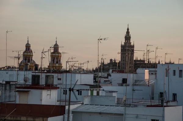 Daken van Sevilla met de Giralda in achtergrond — Stockfoto