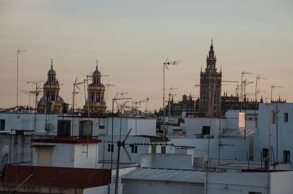 Střechy ze Sevilly s Giralda v pozadí — Stock fotografie