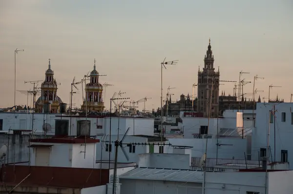 Daken van Sevilla met de Giralda in achtergrond — Stockfoto