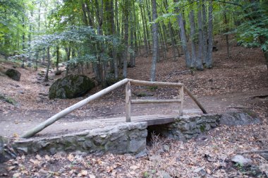 Ormandaki küçük ahşap köprü