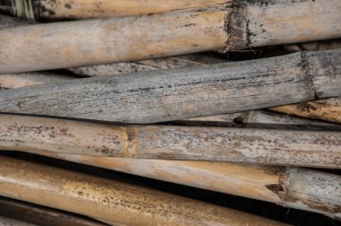 Yığılmış sazlık