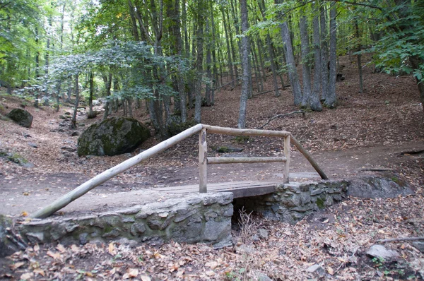 Malý dřevěný most v lese — Stock fotografie