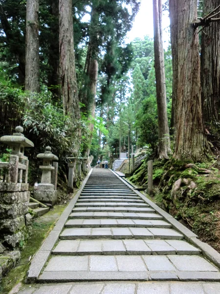 Escalier dans le parc japonais — Photo