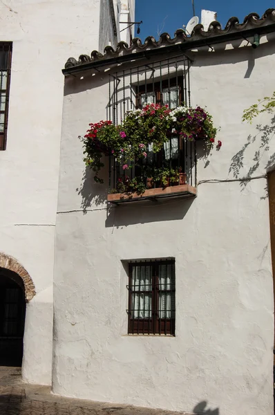 Geleneksel Endülüs evi