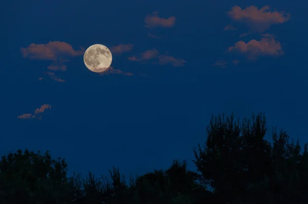 Blue Moon Висхідна Стокова Картинка