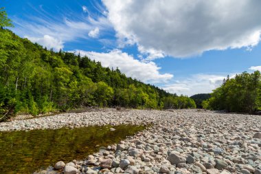 Akadya ormanlarının berrak suları Nova Scotia 'da bir Kanada manzarasının Stoney kıyıları arasında akar.