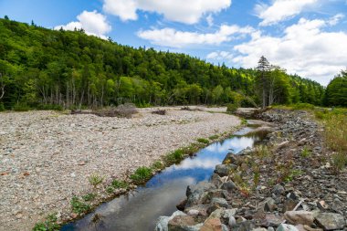 Akadya ormanlarının berrak suları Nova Scotia 'da bir Kanada manzarasının Stoney kıyıları arasında akar.