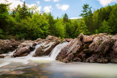 Akadya ormanlarının berrak sularına uzun süre maruz kalmak Nova Scotia 'daki bir Kanada yarığının taştan yarığı arasında akar.