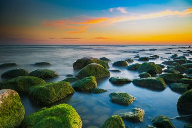 Gün batımında yeşil yosunlu Ontario Gölü 'nün kayalık plajının uzun pozlama manzarası