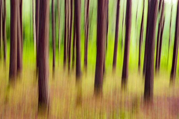 An abstract gradient background of a forest to create a gradient of earthy tones.