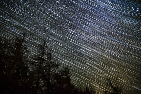 Starry Night Star Trail Forest — Stock Photo, Image