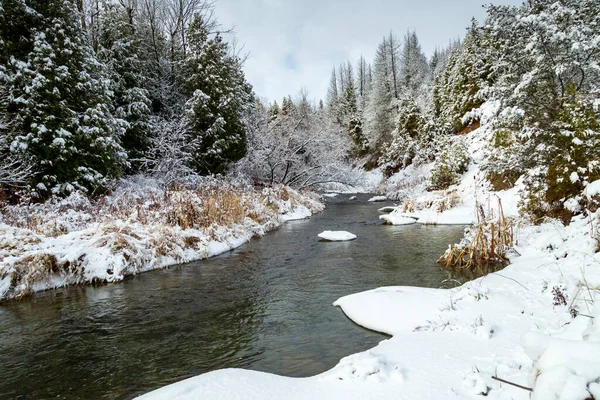 Kanada doğasında küçük bir deresi olan karlı bir ormanın kış manzarası.