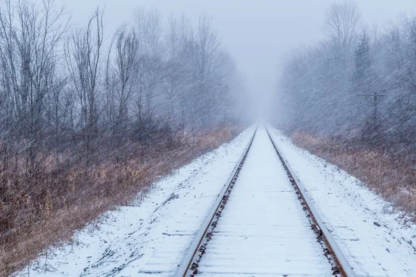 A snow-covered train track runs through a forest during a wintery blizzard