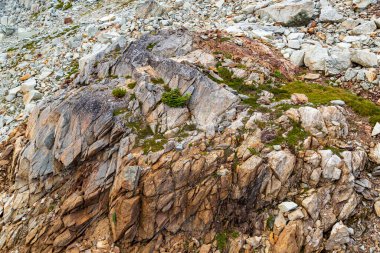 Whistler, British Columbia, Kanada 'daki kaya oluşumları