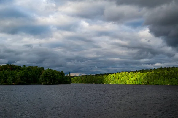 A patch of sunlight peeks out through cloudy days at Ontario\'s Algonquin Park.