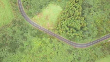 Soyut ve psikedelik ekran koruyucu video