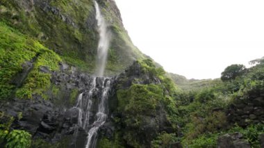 Soyut ve psikedelik ekran koruyucu video