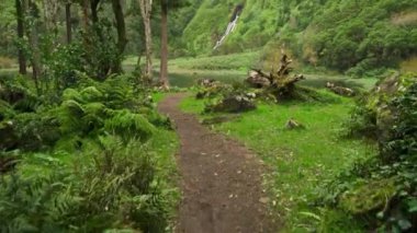 Soyut ve psikedelik ekran koruyucu video