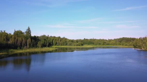 Drone Disparó Sobre Hermoso Lago Cerca Bosque — Vídeo de stock