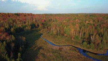 Bir ormanın havadan görünüşü ve canlı sarı ve kırmızı ağaçlar arasında insansız hava aracı tarafından yakalanan küçük bir göl. Doğal görüntü arkaplanını düşür.