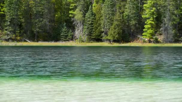 Het Kristalheldere Mcginnis Lake Met Zijn Uitgesproken Groen Blauwe Kleuren — Stockvideo