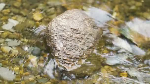 Onde Del Lago Spingere Tirare Come Lava Sopra Piccole Pietre — Video Stock