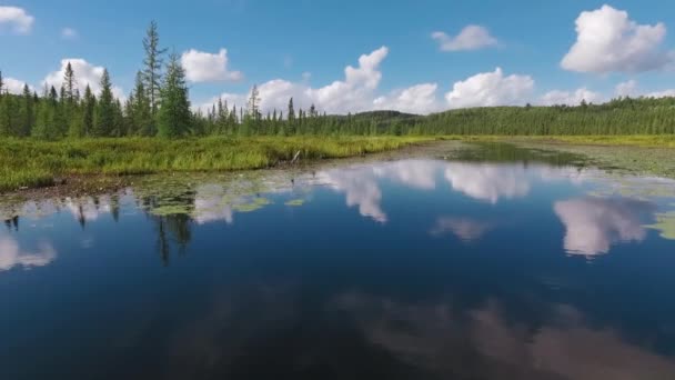 Deslizando Sobre Lago Calmo Sereno Algonquin Park Ontário Canadá Coberto — Vídeo de Stock