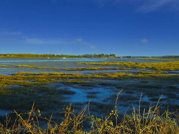 Flomareal Med Tidevann – stockfoto