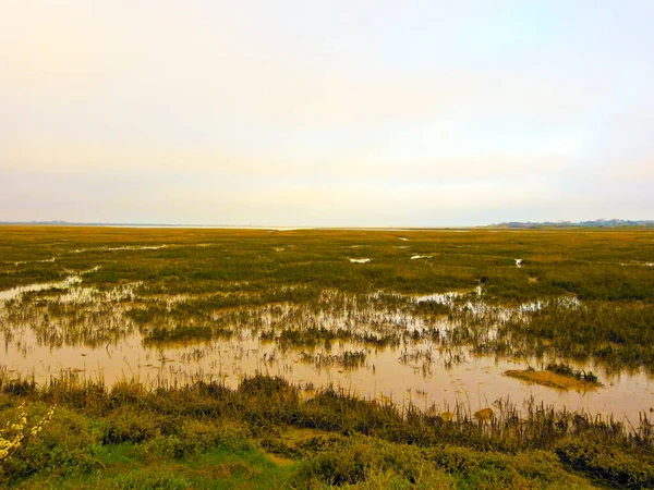 Utsikt Över Våtmarken Med Tidvatten Och Låg Vegetation — Stockfoto