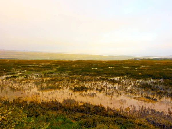 Uitzicht Het Wetland Met Getijden Lage Vegetatie — Stockfoto