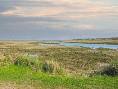 Nehir ve durgun sularda su bulunan yeşil açık alan.