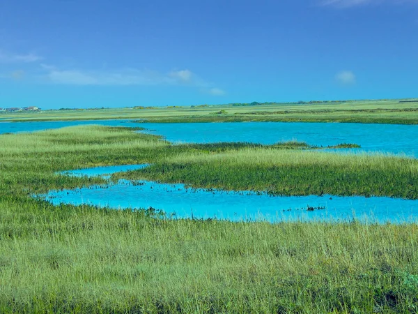 Groene Open Ruimte Met Onregelmatig Gevormd Water — Stockfoto