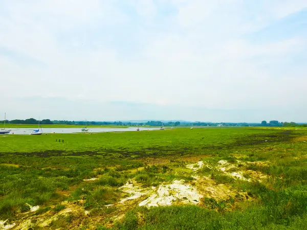 Dalgalar ve birkaç yelkenliyle açık arazide yeşil deniz yosunu.