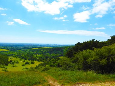 Yeşil manzaralı küçük bir tepe, sarı tarlalar, ağaçlar ve çok uzak bir ufuk.