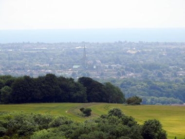 Tarlalar, ağaçlar ve uzaktaki katedral.