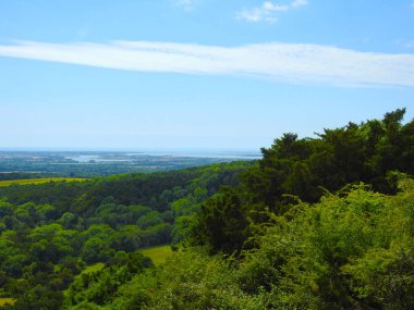 Yeşil bir manzara, orman, tarlalar, ağaçlar ve mavi gökyüzü ile uzak ufuk.