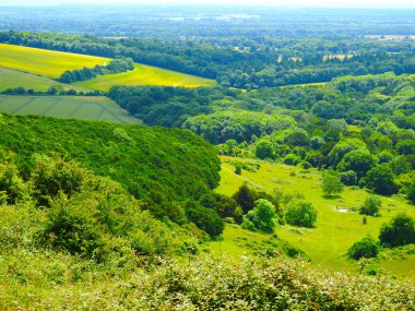 Yeşil manzaralı küçük bir tepe, sarı tarlalar, ağaçlar ve çok uzak bir ufuk.