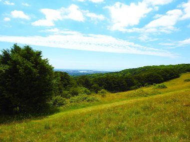 Otlak alan, orman ve bulutlu mavi gökyüzü manzarası