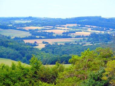 Sayısız ağaç ve tarım arazisi manzarası