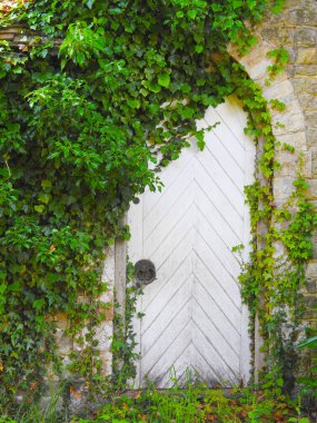 Yeşillikle kaplanmış eski beyaz bir kapı.